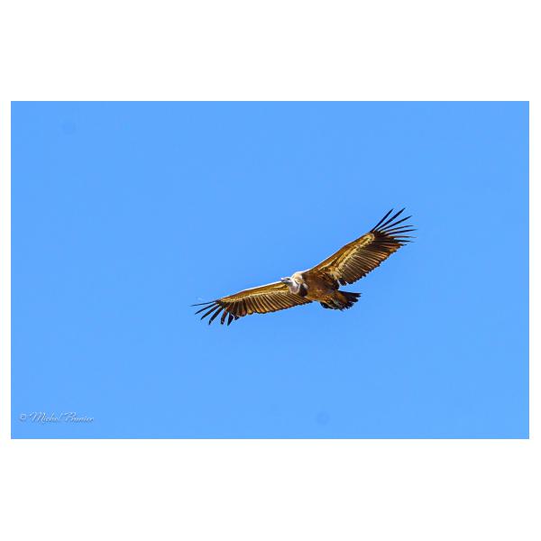 PHOTO84, CLUB, 84 , LUBERON